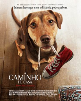 A Caminho de Casa